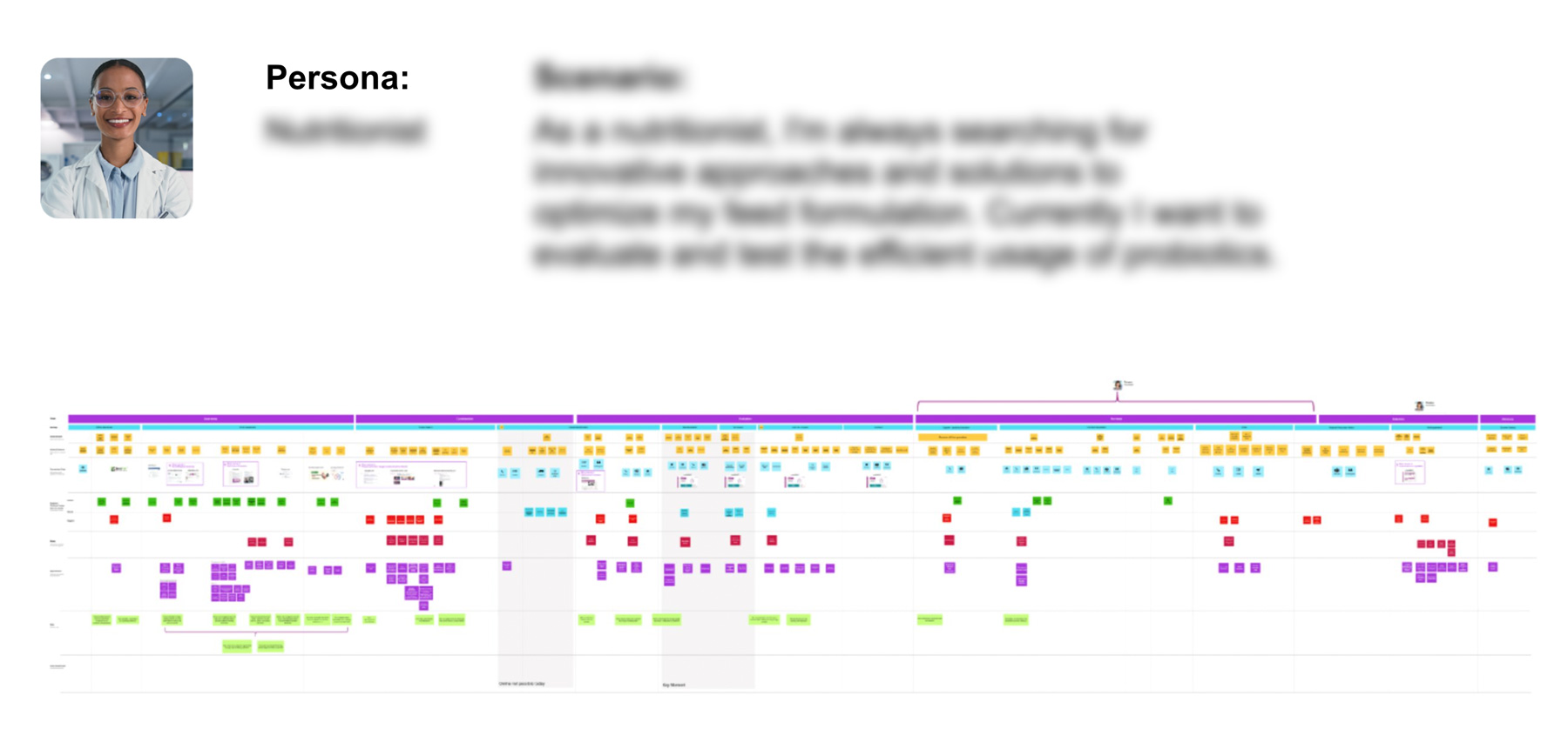 Digital Customer Journey Map and persona profile for a nutritionist scenario, showcasing a detailed touchpoint analysis and user experience flow for a specialized department